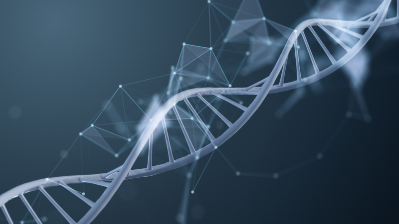 AdobeStock_138924771 (2)