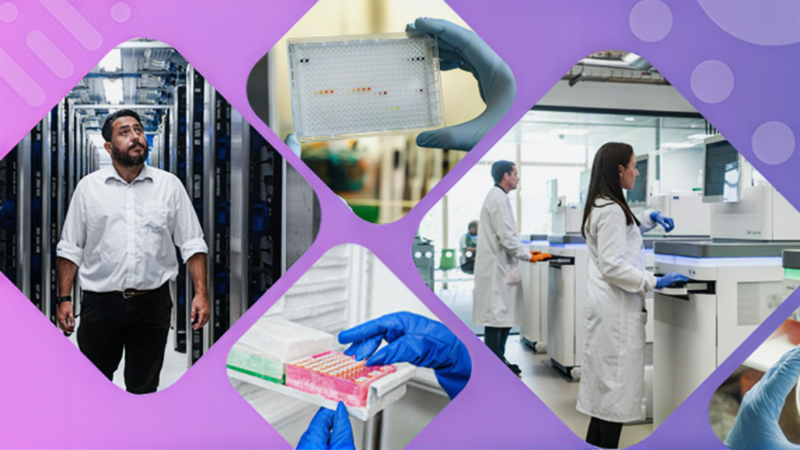 Strategy_Header_800_450