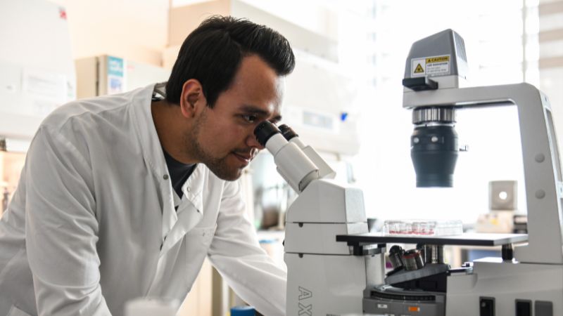 PhD Student, at microscope in Cellular Genetics laboratory