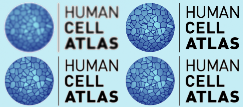 Human Cell Atlas Gets A Boost With First Funding From Wellcome