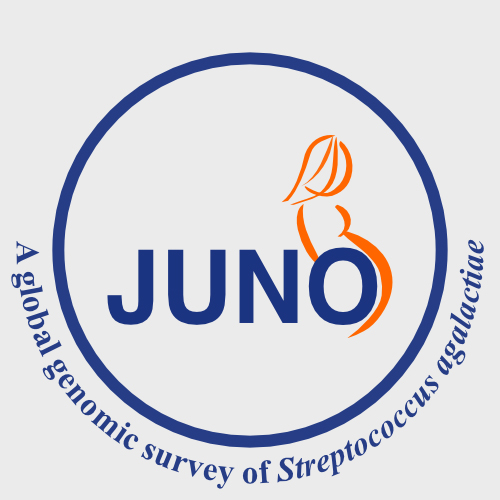 JUNO Project