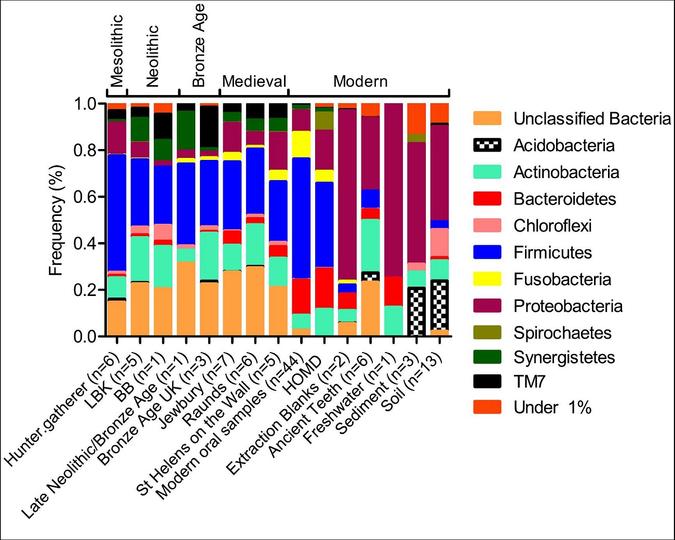 Dental decay: the evolution of oral diversity – Wellcome Sanger Institute