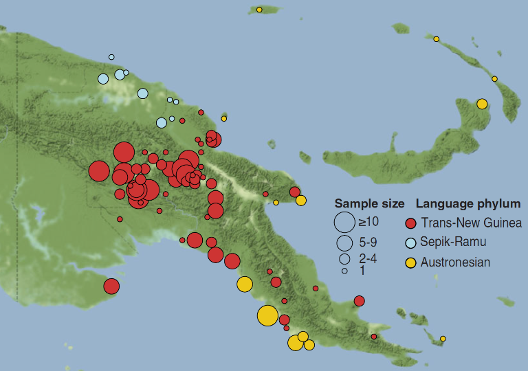 Huge Genetic Diversity Among Papuan New Guinean Peoples Revealed 8791