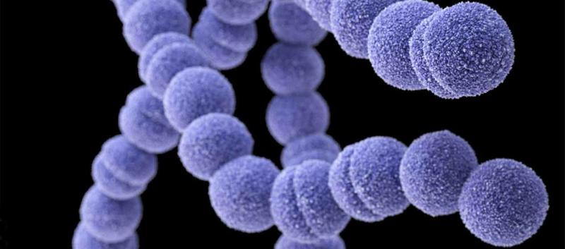 Global Strep A vaccine one step closer